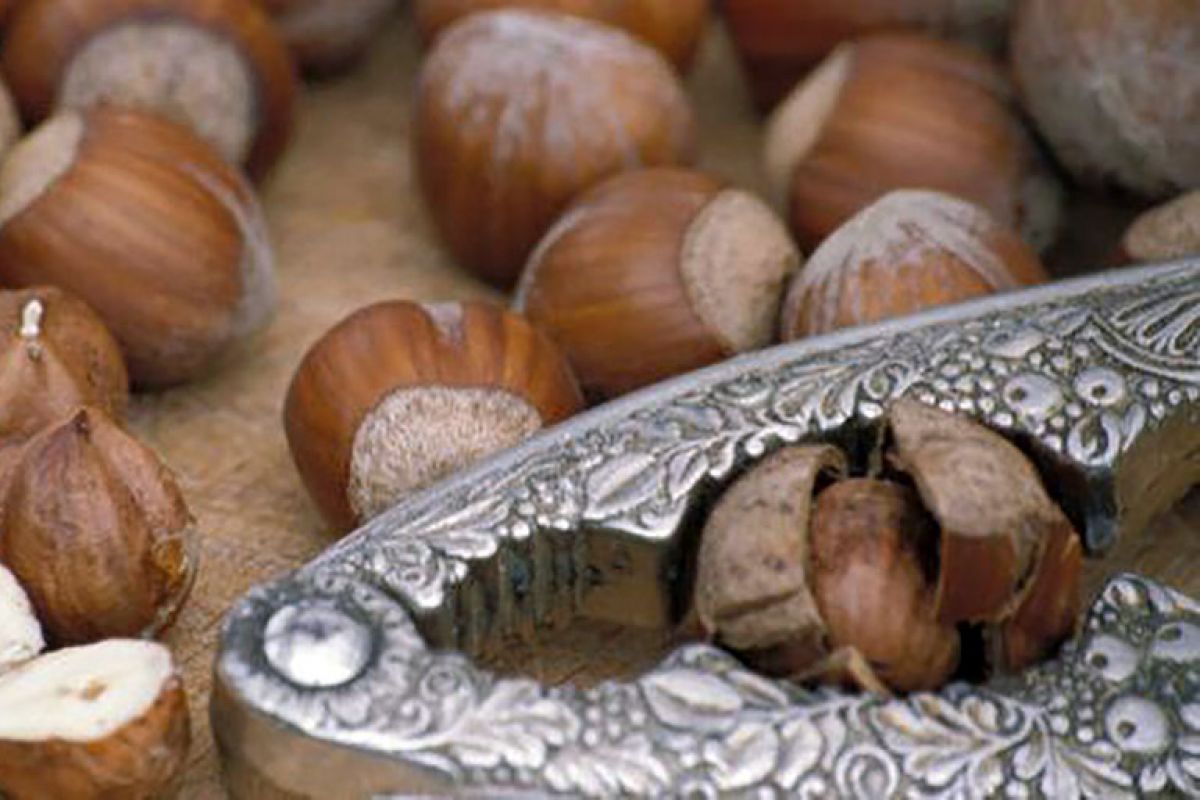 La nocciola regina del Piemonte entra in scena dopo re tartufo, mentre Alba apre alla moda